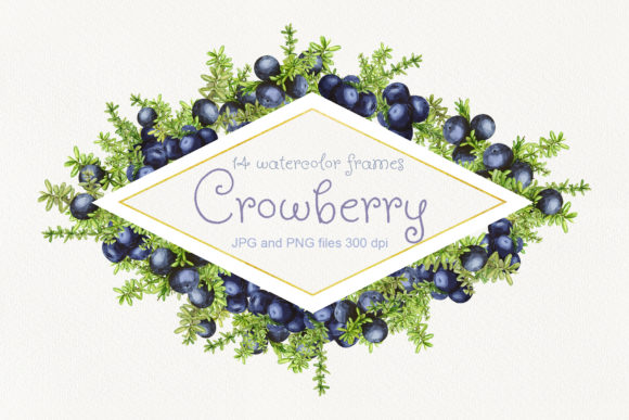 14 Frames with Watercolor Crowberry
