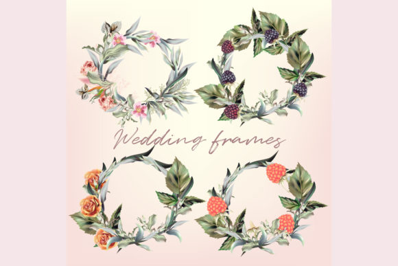 Collection of Floral Frames in Vector