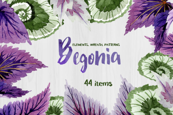 Decorative Begonia Purple Watercolor: A Versatile Asset for Creative Professionals and Entrepreneurs