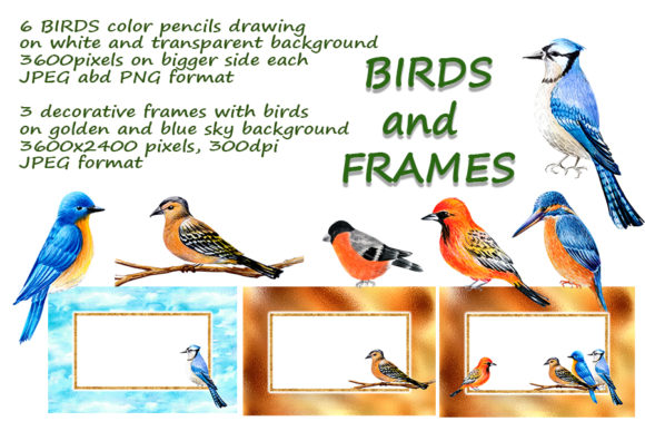 Decorative Birds in Colored Pencils Drawing: A Creative Resource for Designers and Crafters