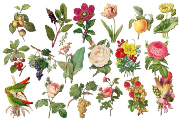 Flowers Clipart Rose Clip Art: A Timeless Design Asset for Creative Projects