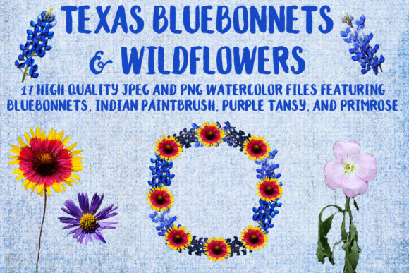 Texas Bluebonnets Wildflowers: A Guide to Beauty, Meaning, and Practical Use